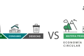 Transformar la cadena de suministro: un paso hacia la economía circular captura1