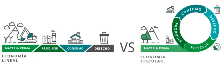 Transformar la cadena de suministro: un paso hacia la economía circular captura1