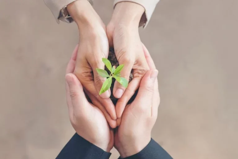 Emprendimiento sostenible: 5 pasos para lograrlo